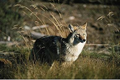 独立新游《但我们仍然相爱》免费发布 创意夺床大战